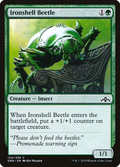 134-ironshellbeetle.jpg