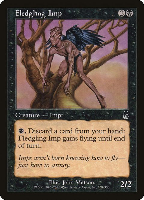 137-fledglingimp.jpg