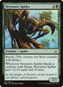 137-netcasterspider.jpg