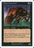 138-giantcockroach.jpg