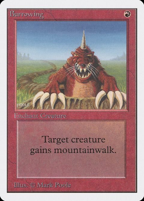 139-burrowing.jpg