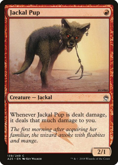 139-jackalpup.jpg