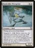 14-duskriderperegrine.jpg