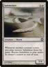 14-saltskitter.jpg