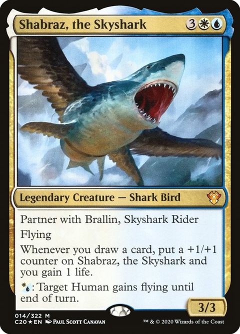 14-shabraztheskyshark.jpg