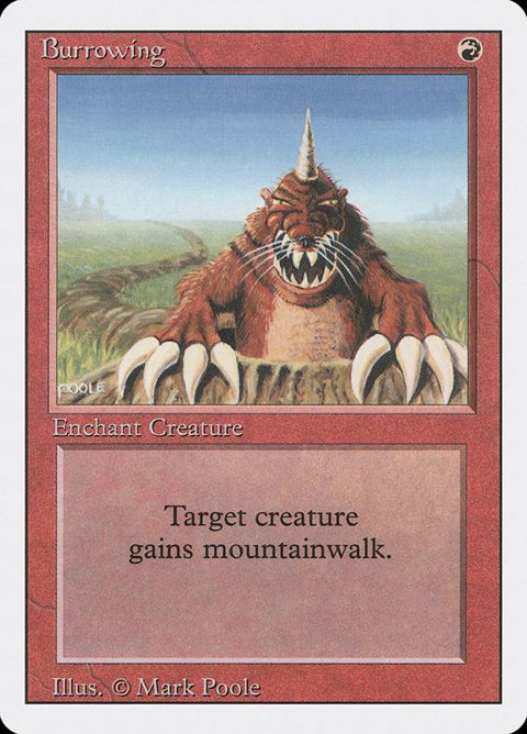 140-burrowing.jpg
