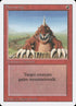 140-burrowing.jpg