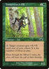 140-timberwatchelf.jpg