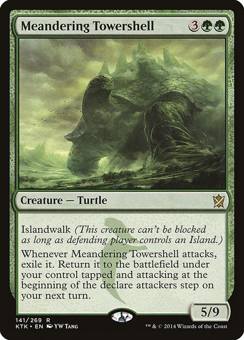 141-meanderingtowershell.jpg