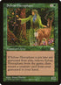 141-sylvanhierophant.jpg