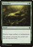142-naturalize.jpg
