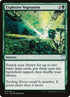 144-explosivevegetation.jpg