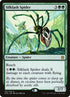 145-silklashspider.jpg