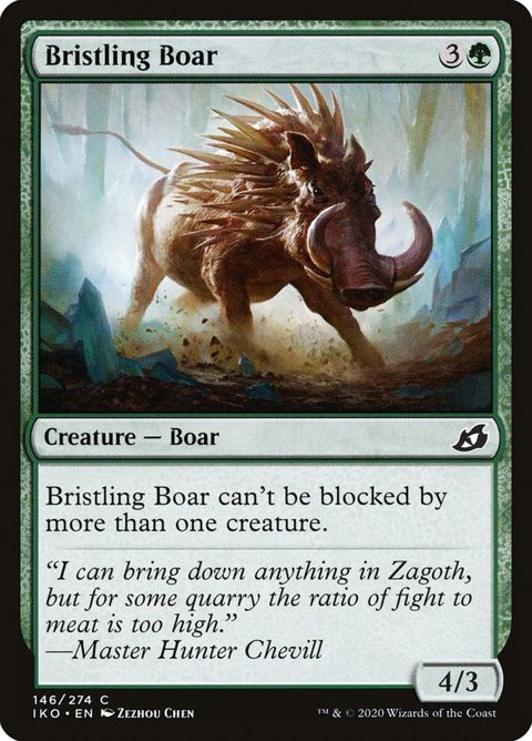 146-bristlingboar.jpg