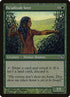 146-faadiyahseer.jpg