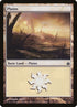 146-plains.jpg
