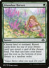 147-abundantharvest.jpg