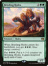 147-bristlinghydra.jpg