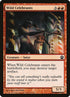 147-wildcelebrants.jpg