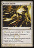15-marrowshards.jpg