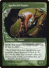 151-spellwildouphe.jpg