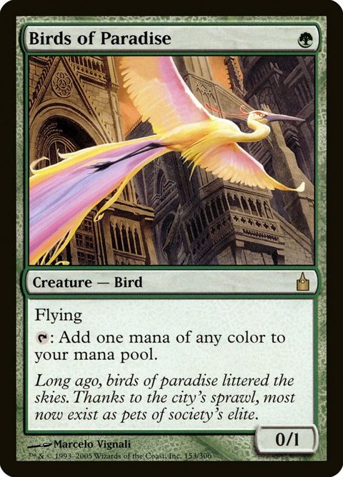153-birdsofparadise.jpg