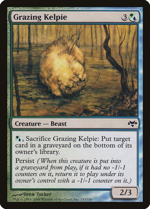 153-grazingkelpie.jpg