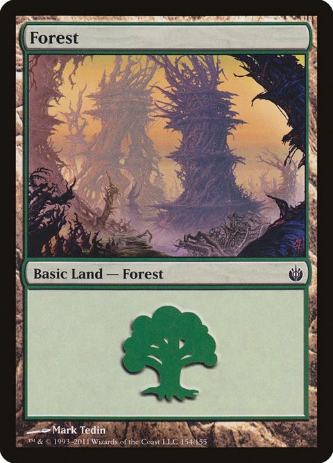 154-forest.jpg