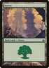 154-forest.jpg
