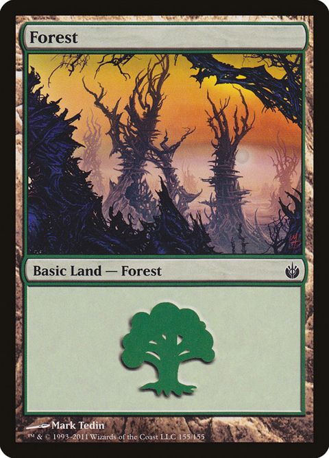 155-forest.jpg