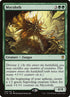 158-mycoloth.jpg