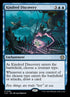 159-kindreddiscovery.jpg