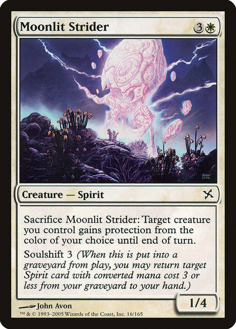 16-moonlitstrider.jpg