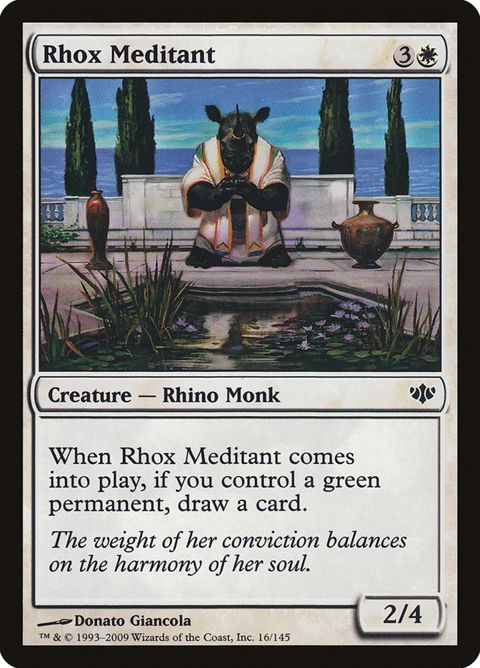 16-rhoxmeditant.jpg
