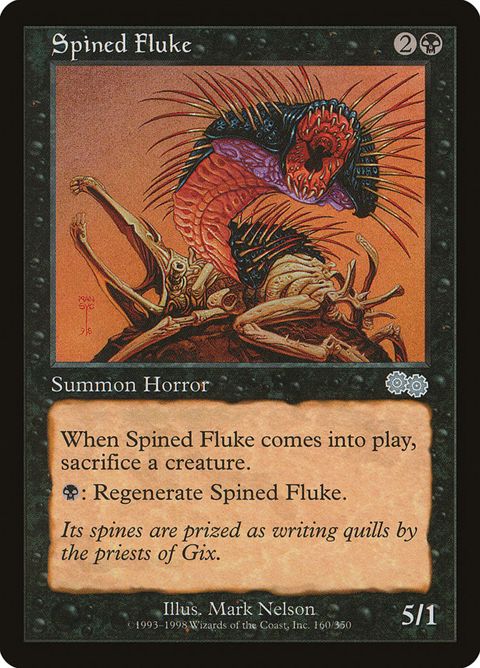 160-spinedfluke.jpg