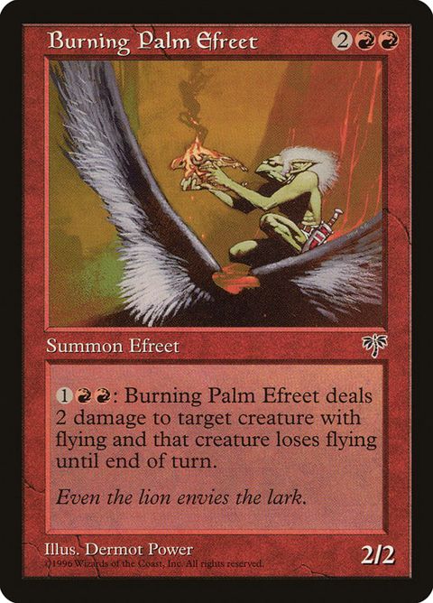 161-burningpalmefreet.jpg