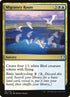 161-migratoryroute.jpg