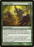 162-primalvigor.jpg