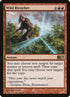 162-wildricochet.jpg