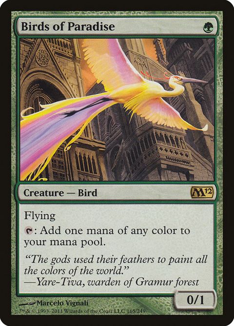 165-birdsofparadise.jpg