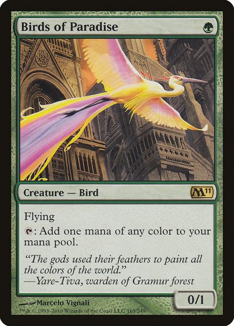 165-birdsofparadise.jpg