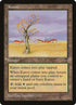 165-karoo.jpg