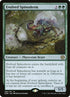 166-evolvedspinoderm.jpg