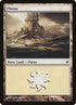 166-plains.jpg