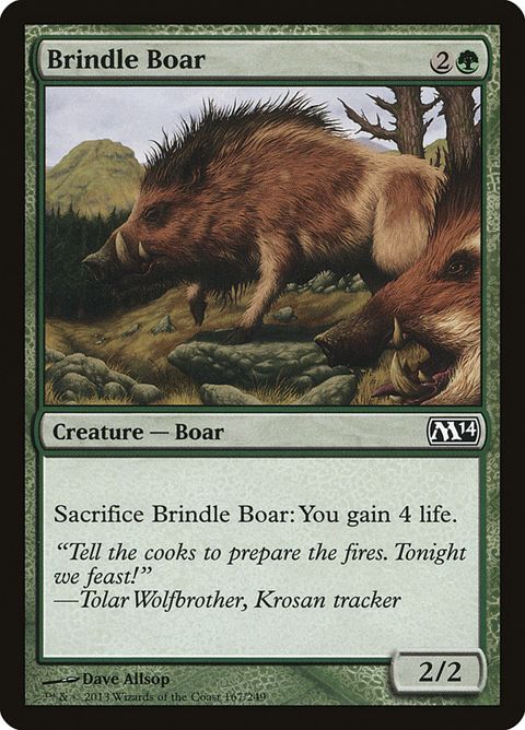 167-brindleboar.jpg