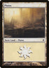 167-plains.jpg