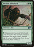 168-ancientsilverback.jpg