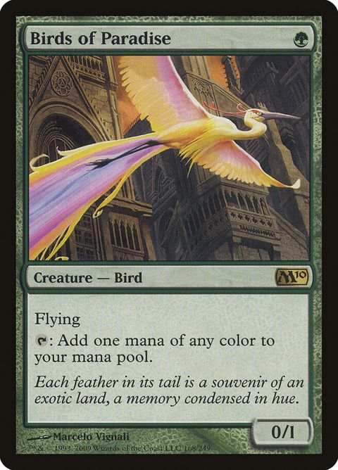 168-birdsofparadise.jpg
