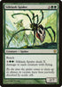 169-silklashspider.jpg
