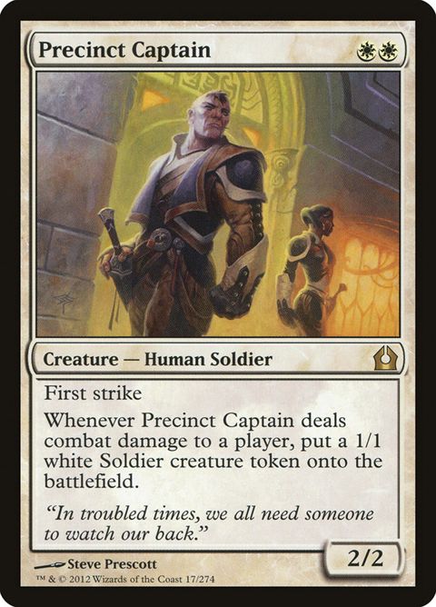 17-precinctcaptain.jpg